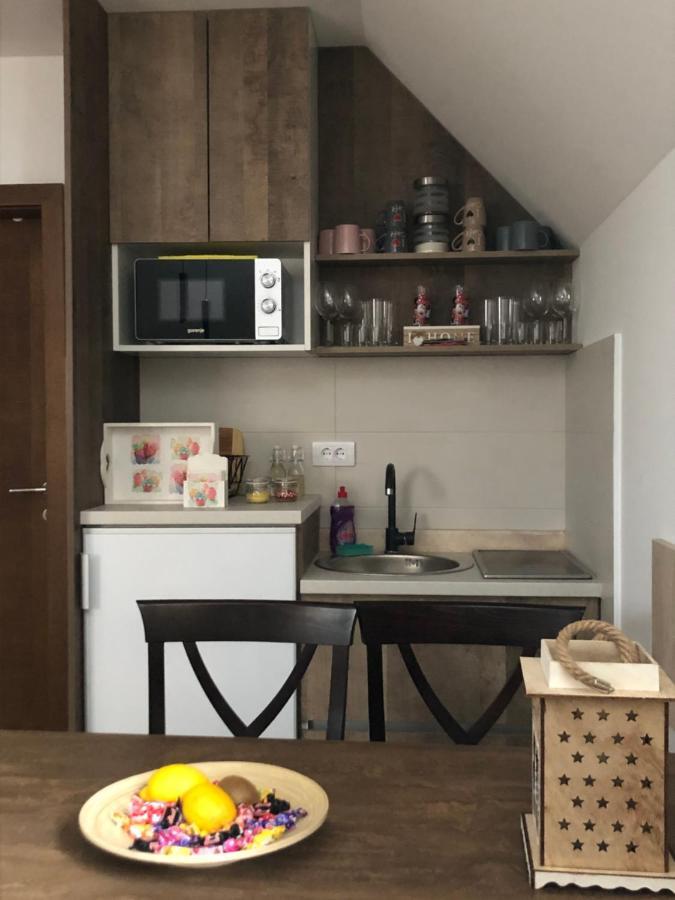 Apartmani Vidatela Kopaonik Zewnętrze zdjęcie